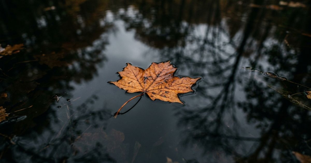 Fall Symbols Move Us So Deeply