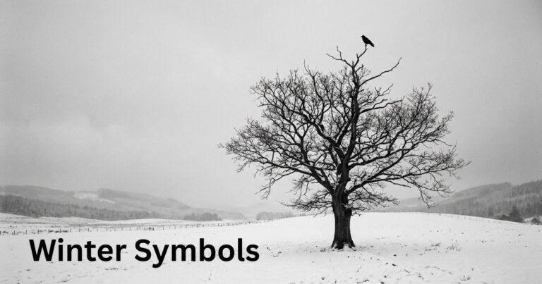 Winter Symbols